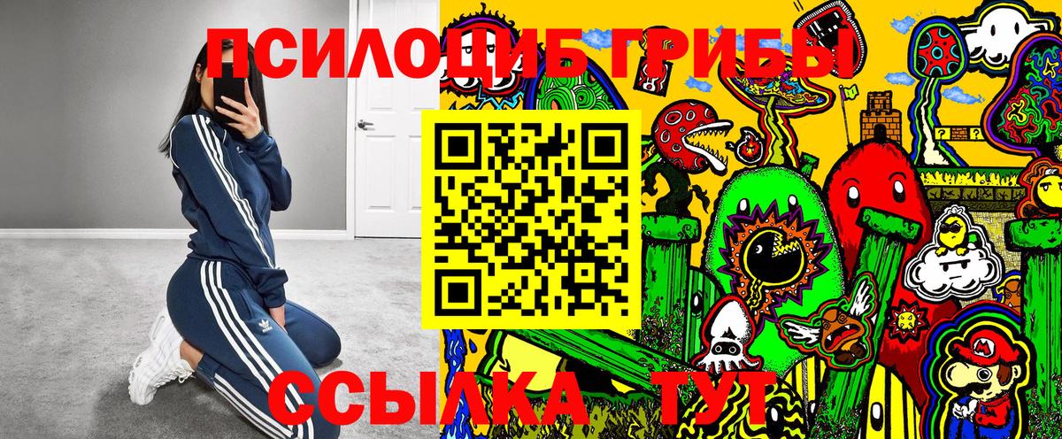 Галлюциногенные грибы Cubensis  Вход с VPN  наркотики  Тара 