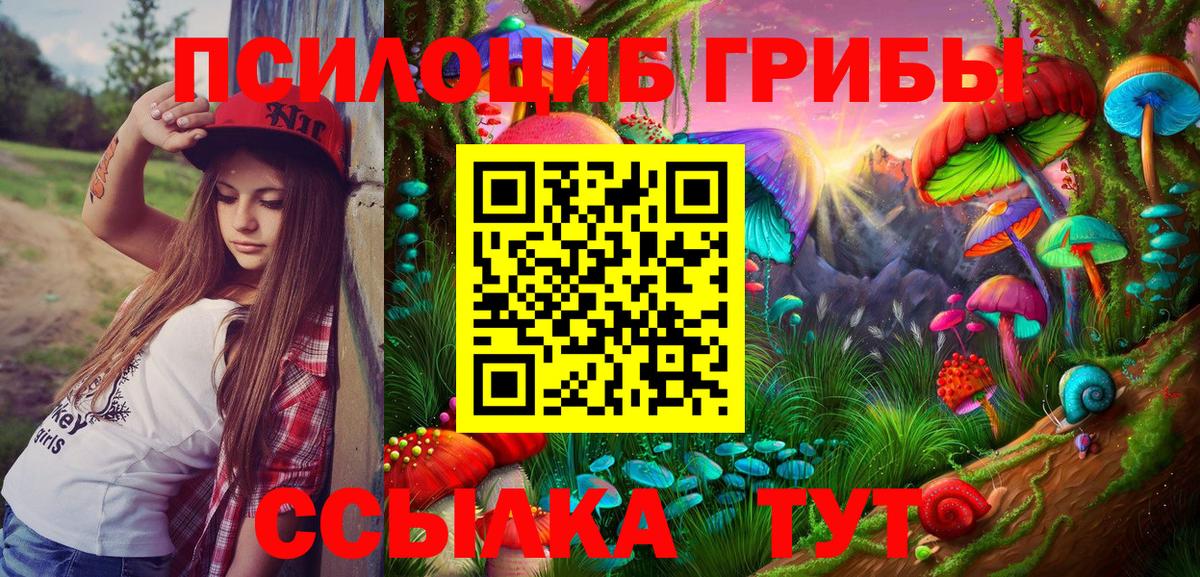 Галлюциногенные грибы Psilocybine cubensis Тара